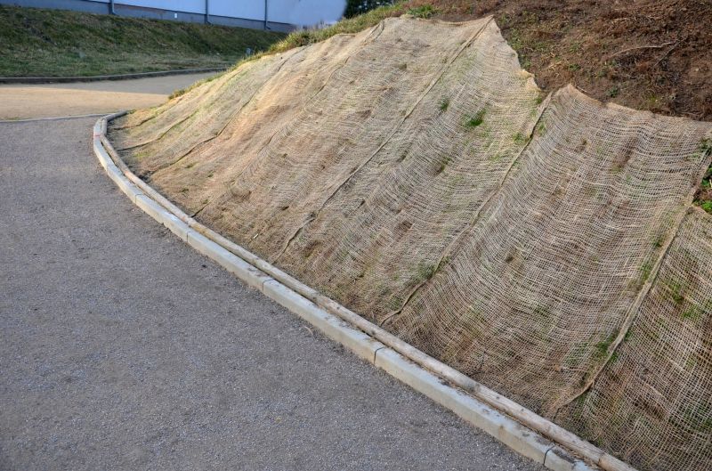 ground cover and landscape fabric installation