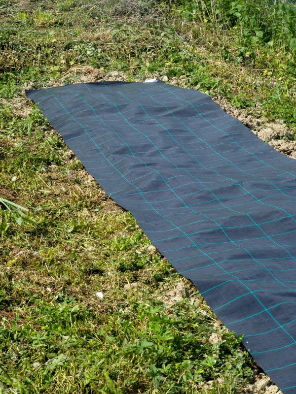 Ground Cover And Landscape Fabric Installation