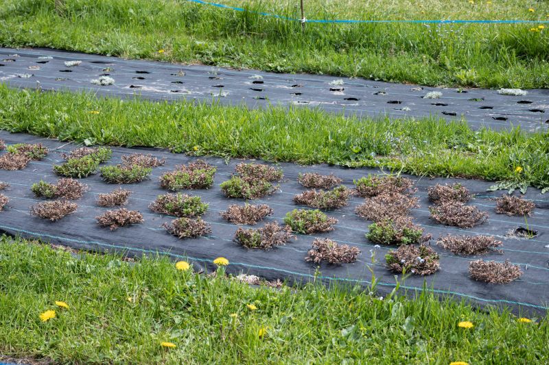Landscape Fabric Being Laid in Fall